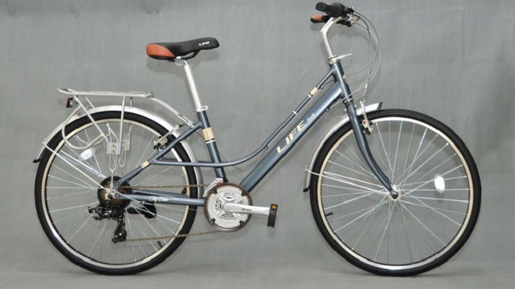 3.1 Xe đạp phổ thông đường phố (City Bike)